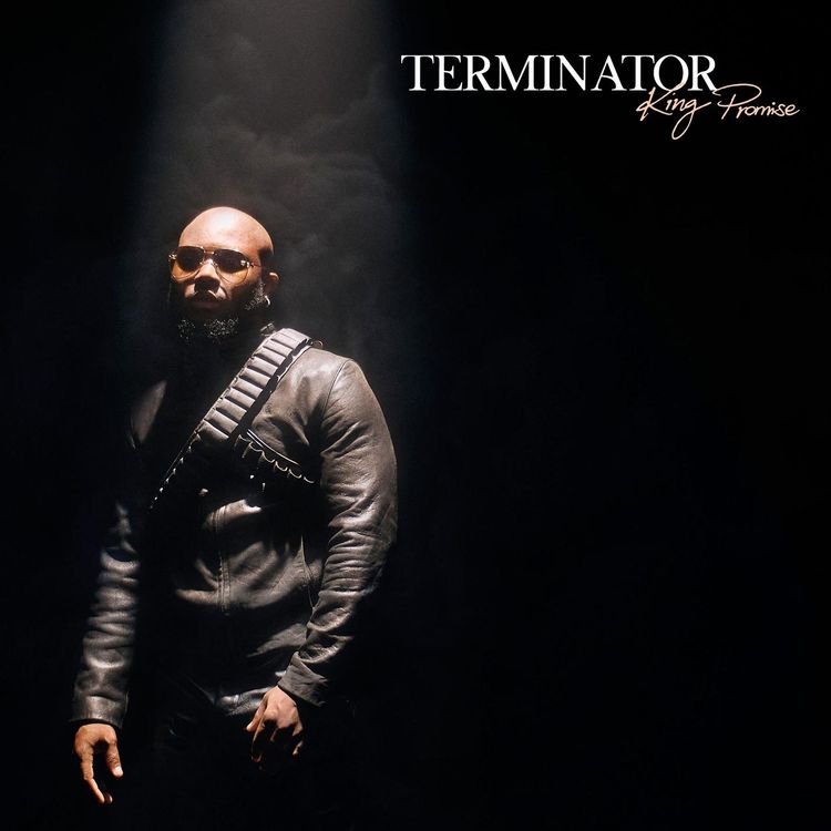 King Promise - Terminator Remix ft Sean Paul x Tiwa Savage mp3