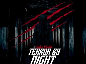 Vybz Kartel – Terror by Night mp3