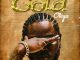 Otega - Gold (Zip)