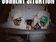 Country Wizzy – Current Situation Ft Young Lunya mp3
