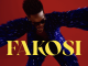 Reekado Banks – Fakosi mp3