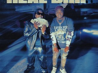 Wizz Havinn – Real Drip Ft. YTB Fatt mp3