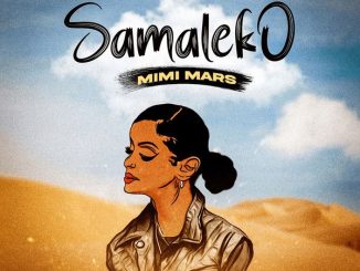 Mimi Mars – Samaleko mp3