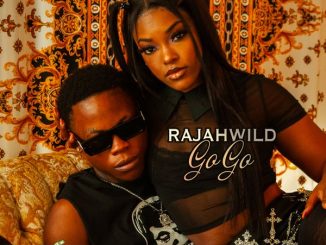 RajahWild - Go Go mp3