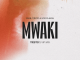 Zerb Ft Tiësto & Sofiya Nzau - Mwaki (Tiësto's Extended VIP Mix) mp3
