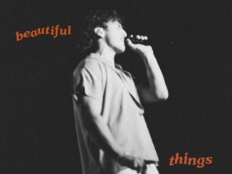 Benson Boone - Beautiful Things mp3