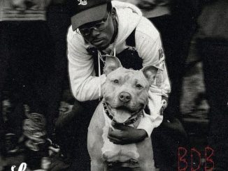HDBEENDOPE - HDBeenDope BDB (Freestyle) mp3