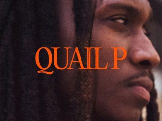 Quail P - The Reason Why (Zip)