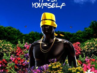 Sons Of Sonix – Trust Yourself Ft. Shawn Butler mp3