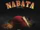 Zyno - Nabata mp3