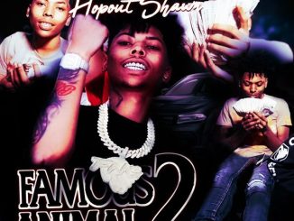 Hopout Shawn - Famous Animal 2 mp3