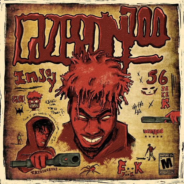 LAZER DIM 700 - Injoy (Zip)